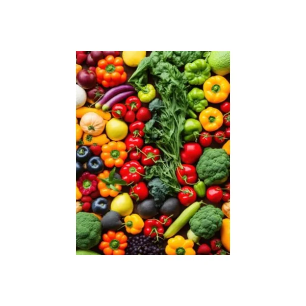 Terreau potager sans tourbe Verve 40L