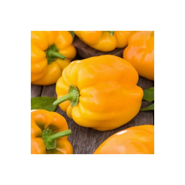 Terreau sans tourbe pour potager 50L GoodHome