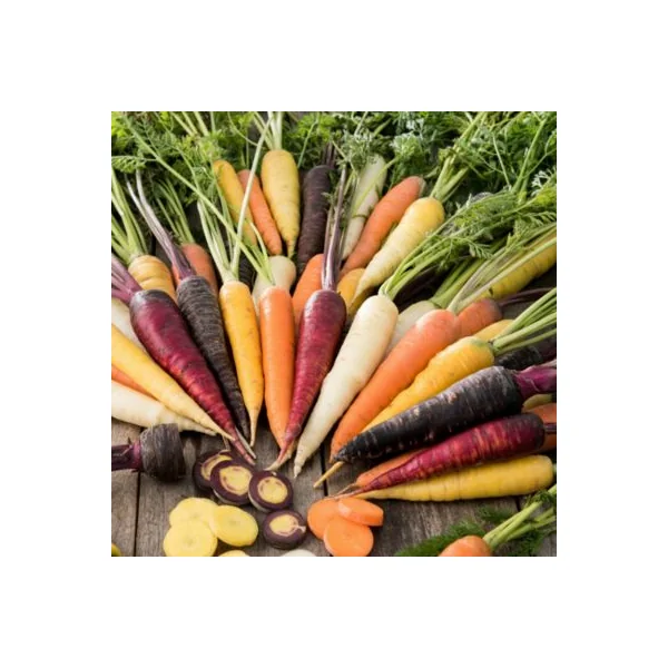 Terreau sans tourbe pour potager 50L GoodHome