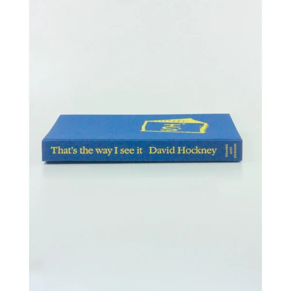 That's the way I see it: David Hockney