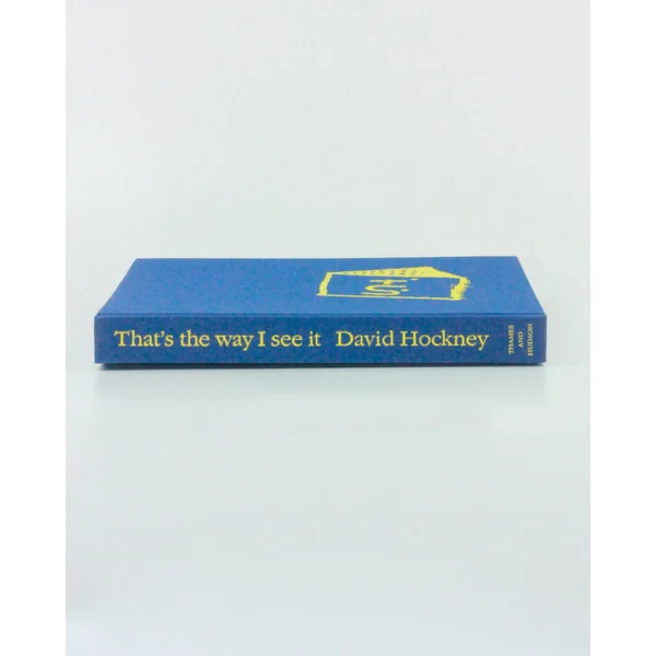 That's the way I see it: David Hockney