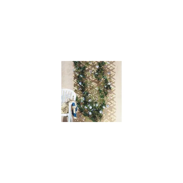 Treillis extensible en bambou, 100 x 200 cm