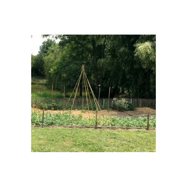 Tuteur bambou déco Ø6-8 x H.200 cm Jany France