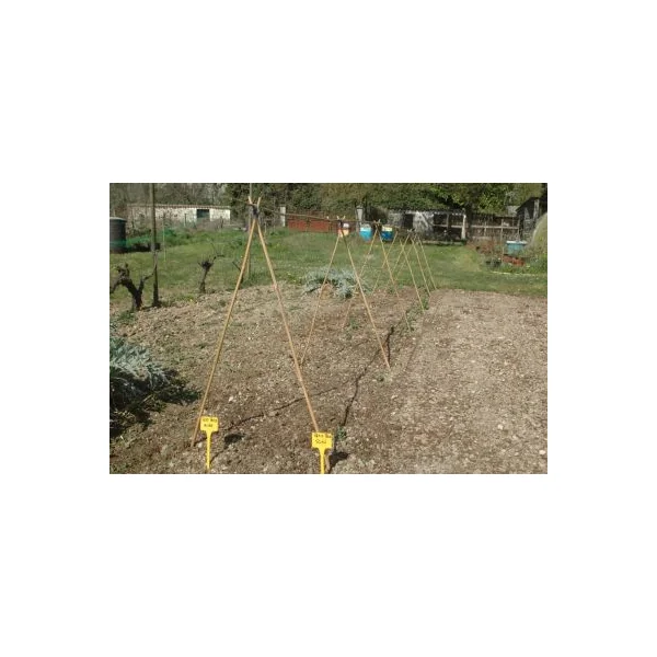 Tuteur bambou déco Ø6-8 x H.200 cm Jany France
